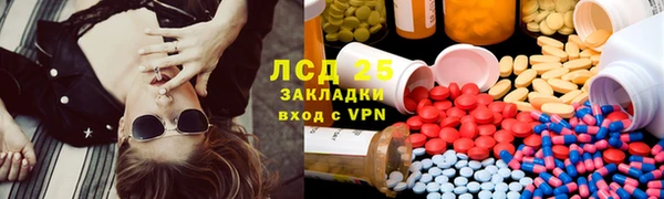 индика Алексин