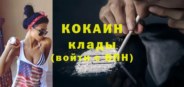 индика Алексин