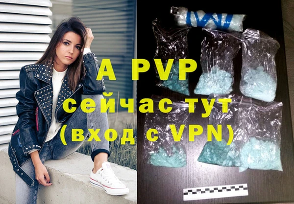 индика Алексин