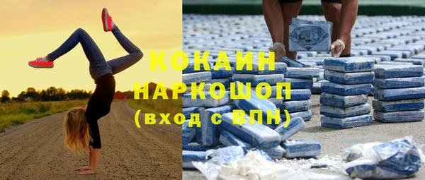 индика Алексин
