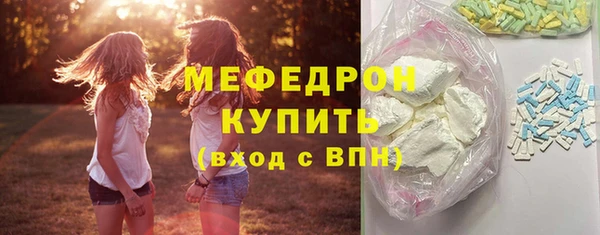 индика Алексин
