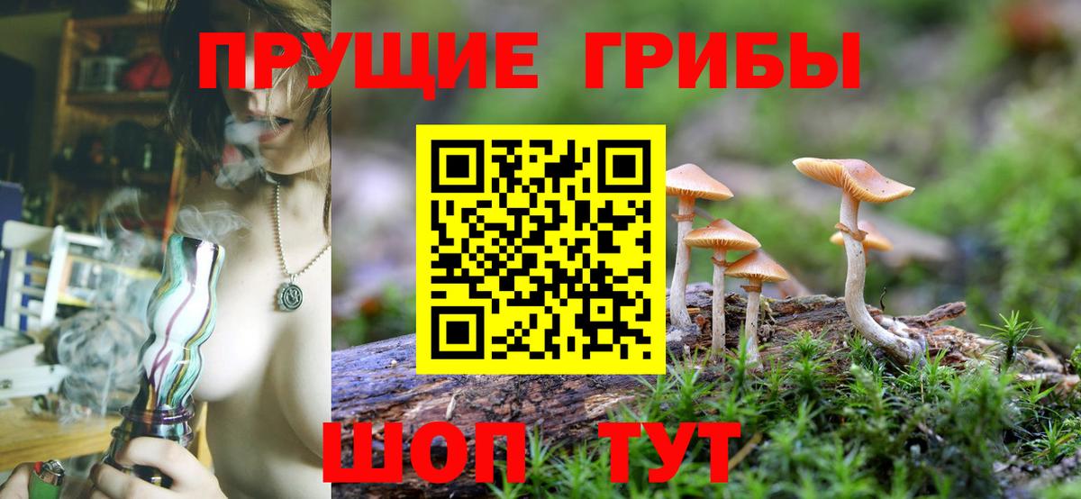 Мыски  Псилоцибиновые грибы GOLDEN TEACHER  Вход с VPN 