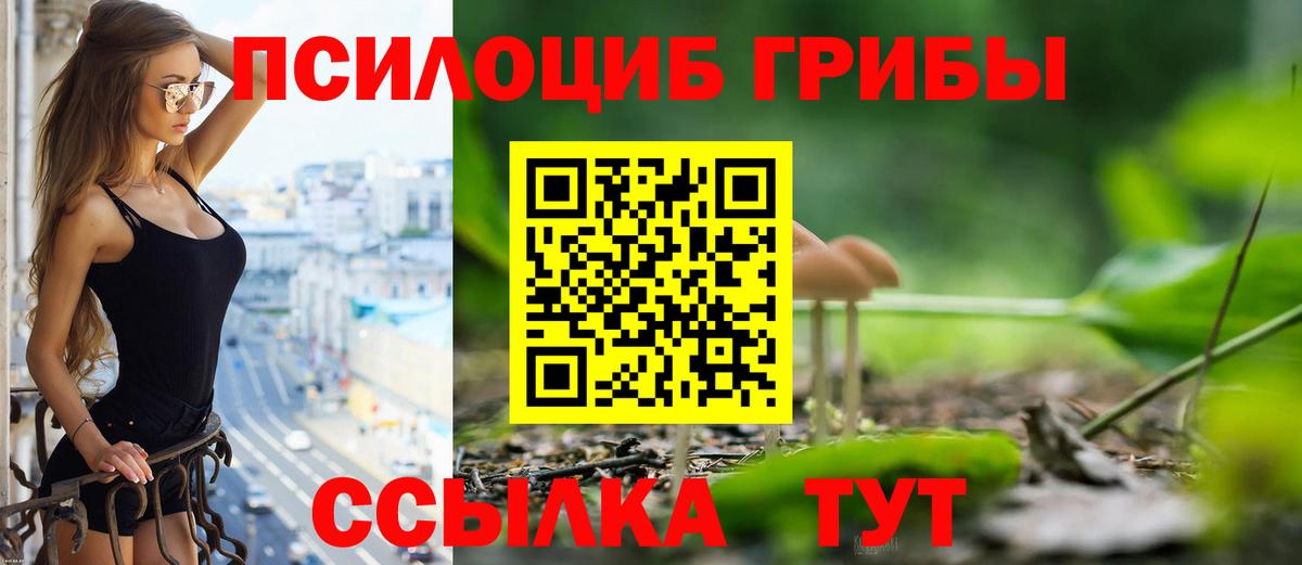 Псилоцибиновые грибы Psilocybine cubensis Мыски